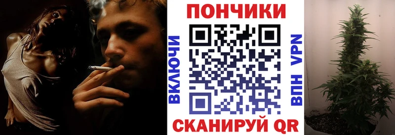 закладка  shop официальный сайт  Бошки Шишки AK-47  Игарка 